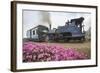 Colorful Portrait of the Little Train That Passes by Batasia Loop-Roberto Moiola-Framed Photographic Print