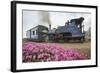 Colorful Portrait of the Little Train That Passes by Batasia Loop-Roberto Moiola-Framed Photographic Print