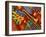 Colorful Poster Along the Riverwalk, New Orleans, Louisiana, USA-Adam Jones-Framed Premium Photographic Print