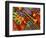 Colorful Poster Along the Riverwalk, New Orleans, Louisiana, USA-Adam Jones-Framed Photographic Print