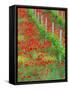 Colorful Red Poppies of Tuscany, Italy-Julie Eggers-Framed Stretched Canvas