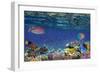 Colorful Reef Underwater Landscape with Fishes and Corals-Vlad61-Framed Photographic Print