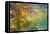 Colorful Reflections I-Kathy Mahan-Framed Stretched Canvas