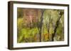 Colorful Reflections II-Kathy Mahan-Framed Photographic Print