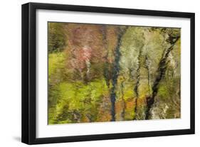 Colorful Reflections II-Kathy Mahan-Framed Photographic Print