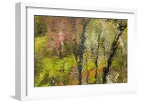 Colorful Reflections II-Kathy Mahan-Framed Photographic Print