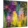 Colorful Reflections III-Kathy Mahan-Mounted Photographic Print