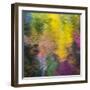 Colorful Reflections IV-Kathy Mahan-Framed Photographic Print