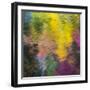 Colorful Reflections IV-Kathy Mahan-Framed Photographic Print