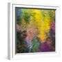 Colorful Reflections IV-Kathy Mahan-Framed Photographic Print