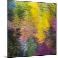 Colorful Reflections IV-Kathy Mahan-Mounted Photographic Print