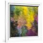 Colorful Reflections IV-Kathy Mahan-Framed Photographic Print