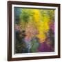 Colorful Reflections IV-Kathy Mahan-Framed Photographic Print