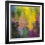 Colorful Reflections IV-Kathy Mahan-Framed Photographic Print