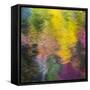 Colorful Reflections IV-Kathy Mahan-Framed Stretched Canvas