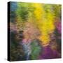 Colorful Reflections IV-Kathy Mahan-Stretched Canvas