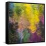 Colorful Reflections IV-Kathy Mahan-Framed Stretched Canvas