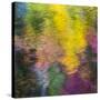 Colorful Reflections IV-Kathy Mahan-Stretched Canvas