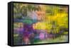 Colorful Reflections V-Kathy Mahan-Framed Stretched Canvas