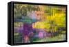 Colorful Reflections V-Kathy Mahan-Framed Stretched Canvas