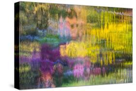 Colorful Reflections V-Kathy Mahan-Stretched Canvas