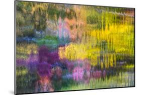 Colorful Reflections V-Kathy Mahan-Mounted Photographic Print