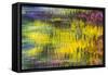 Colorful Reflections VI-Kathy Mahan-Framed Stretched Canvas