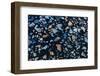 Colorful rocks in black sand dunes, Hofn, Iceland-Chuck Haney-Framed Photographic Print