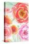Colorful Roses I-Elizabeth Medley-Stretched Canvas