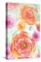 Colorful Roses II-Elizabeth Medley-Stretched Canvas