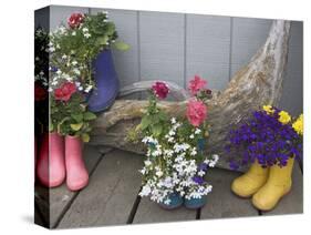 Colorful Rubber Boots Used as Flower Pots, Homer, Alaska, USA-Dennis Flaherty-Stretched Canvas