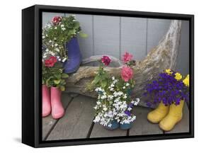 Colorful Rubber Boots Used as Flower Pots, Homer, Alaska, USA-Dennis Flaherty-Framed Stretched Canvas