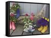 Colorful Rubber Boots Used as Flower Pots, Homer, Alaska, USA-Dennis Flaherty-Framed Stretched Canvas