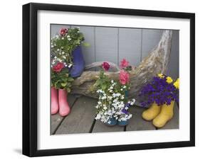 Colorful Rubber Boots Used as Flower Pots, Homer, Alaska, USA-Dennis Flaherty-Framed Photographic Print