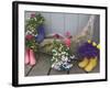Colorful Rubber Boots Used as Flower Pots, Homer, Alaska, USA-Dennis Flaherty-Framed Photographic Print