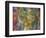 Colorful rusty metal plate, Santiago, Chile.-William Perry-Framed Photographic Print