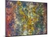 Colorful rusty metal plate, Santiago, Chile.-William Perry-Mounted Photographic Print