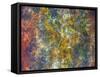 Colorful rusty metal plate, Santiago, Chile.-William Perry-Framed Stretched Canvas