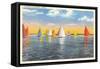 Colorful Sailboats, Canada-null-Framed Stretched Canvas