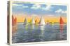 Colorful Sailboats, Canada-null-Stretched Canvas