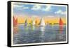 Colorful Sailboats, Canada-null-Framed Stretched Canvas