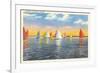 Colorful Sailboats, Canada-null-Framed Art Print