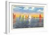 Colorful Sailboats, Canada-null-Framed Art Print