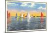 Colorful Sailboats, Canada-null-Mounted Art Print