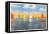 Colorful Sailboats, Lake Erie, Toledo, Ohio-null-Framed Stretched Canvas