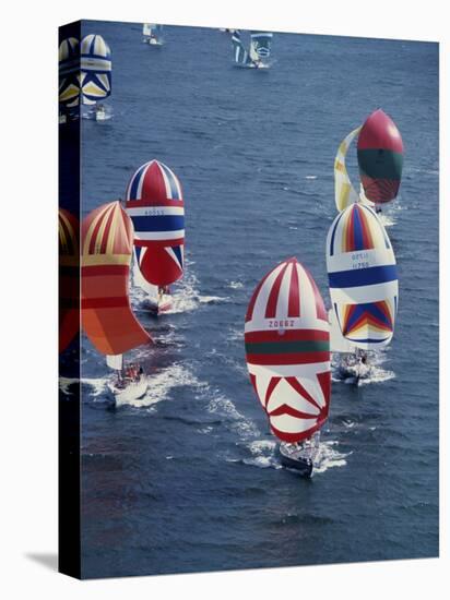 Colorful Sailboats-null-Stretched Canvas