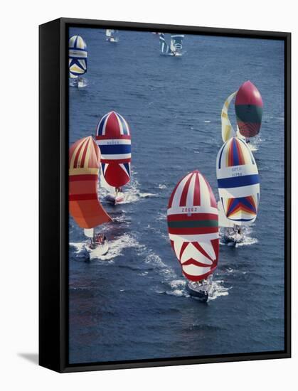 Colorful Sailboats-null-Framed Stretched Canvas