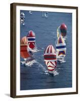 Colorful Sailboats-null-Framed Premium Photographic Print