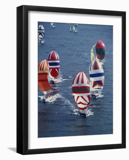 Colorful Sailboats-null-Framed Photographic Print