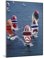 Colorful Sailboats-null-Mounted Photographic Print